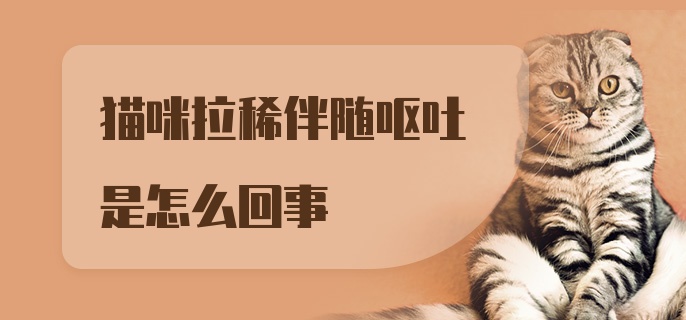 猫咪拉稀伴随呕吐是怎么回事