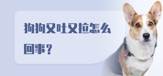 狗狗又吐又拉怎么回事？