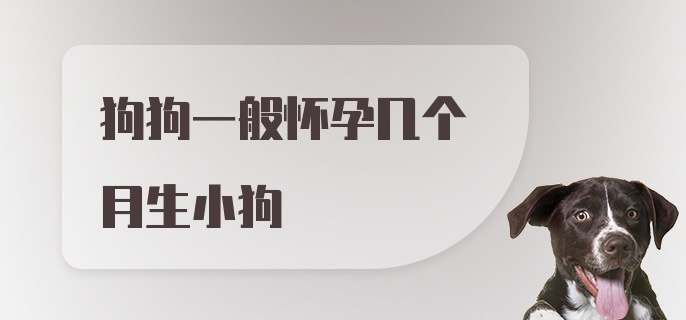 狗狗一般怀孕几个月生小狗