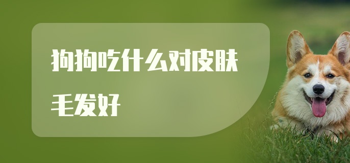 狗狗吃什么对皮肤毛发好