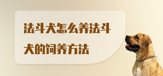 法斗犬怎么养法斗犬的饲养方法