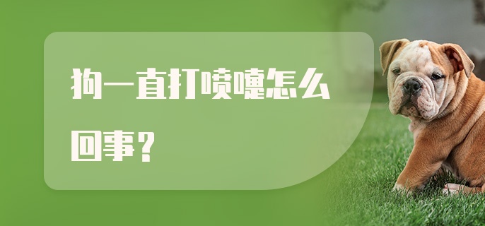 狗一直打喷嚏怎么回事？