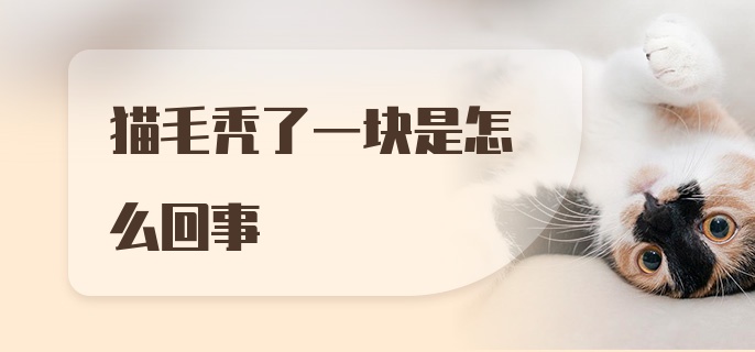 猫毛秃了一块是怎么回事