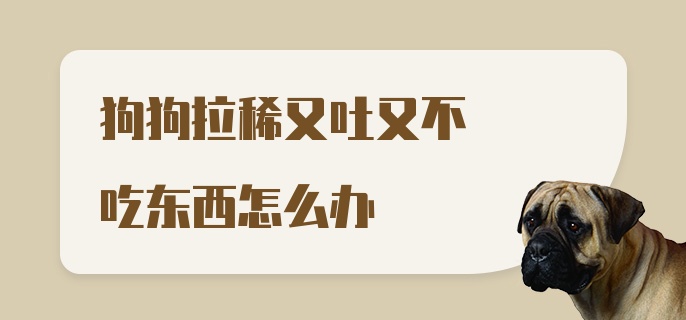 狗狗拉稀又吐又不吃东西怎么办