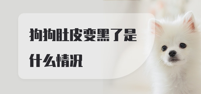 狗狗肚皮变黑了是什么情况