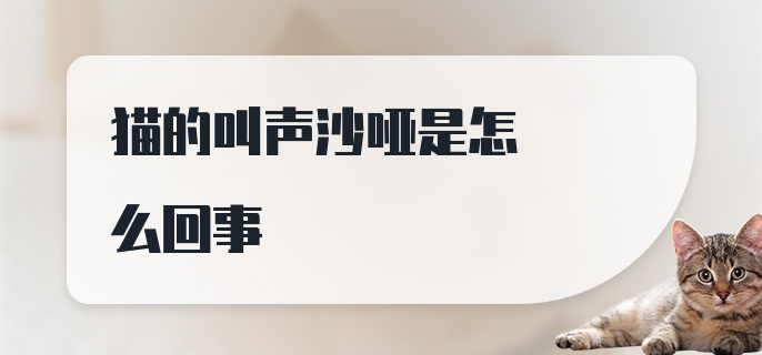 猫的叫声沙哑是怎么回事