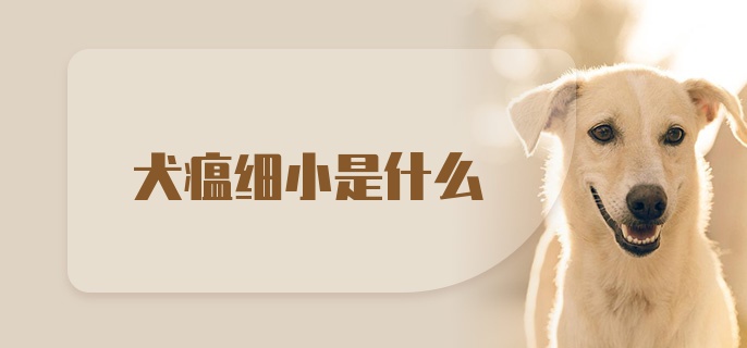 犬瘟细小是什么