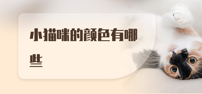 小猫咪的颜色有哪些