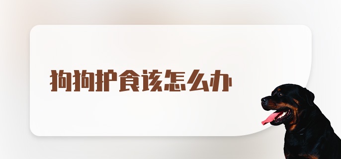 狗狗护食该怎么办