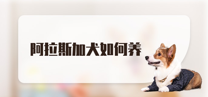 阿拉斯加犬如何养