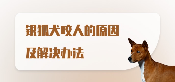 银狐犬咬人的原因及解决办法