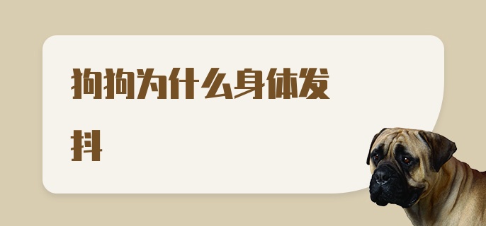 狗狗为什么身体发抖