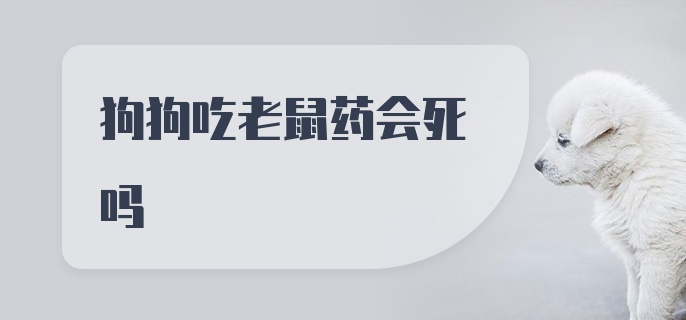 狗狗吃老鼠药会死吗