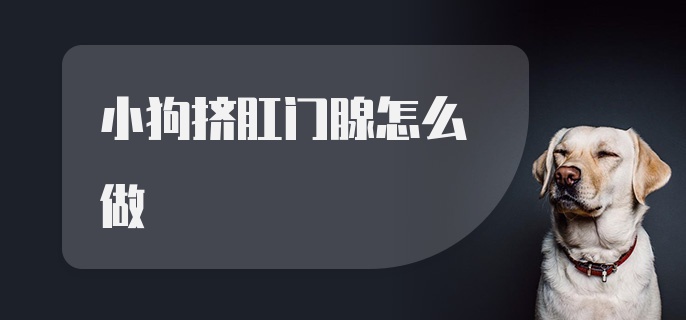 小狗挤肛门腺怎么做