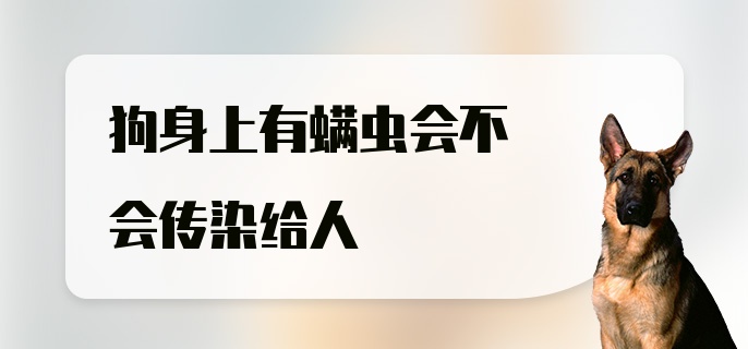 狗身上有螨虫会不会传染给人