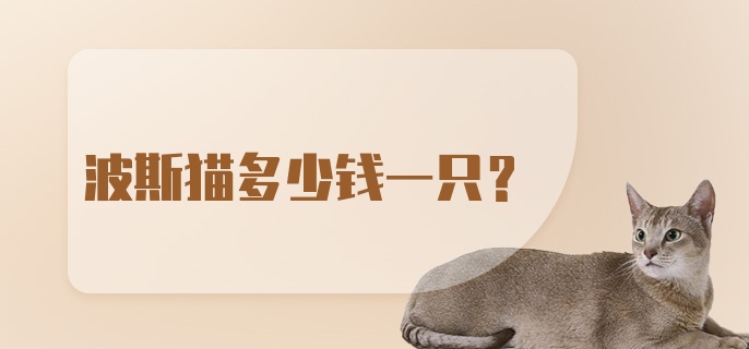 波斯猫多少钱一只？