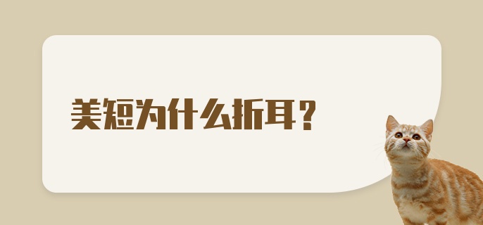 美短为什么折耳？