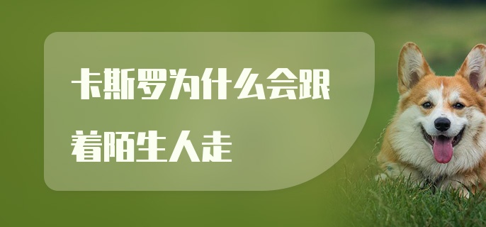 卡斯罗为什么会跟着陌生人走