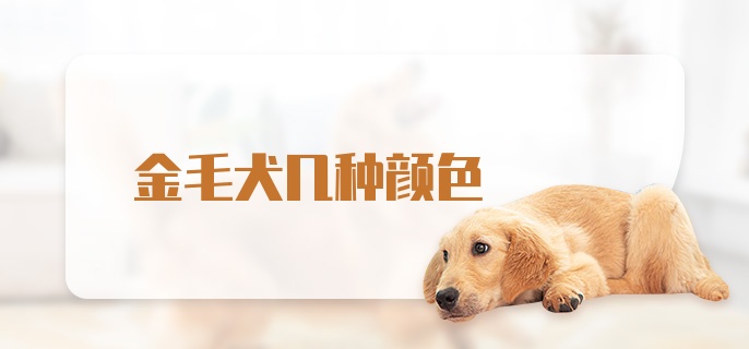 金毛犬几种颜色