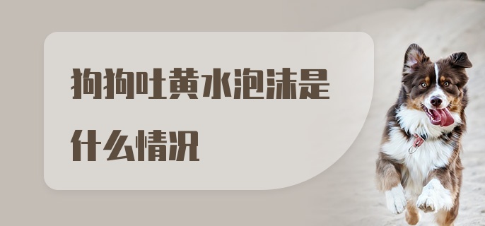 狗狗吐黄水泡沫是什么情况