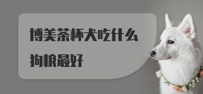 博美茶杯犬吃什么狗粮最好