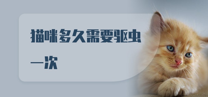 猫咪多久需要驱虫一次