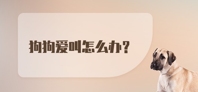 狗狗爱叫怎么办？