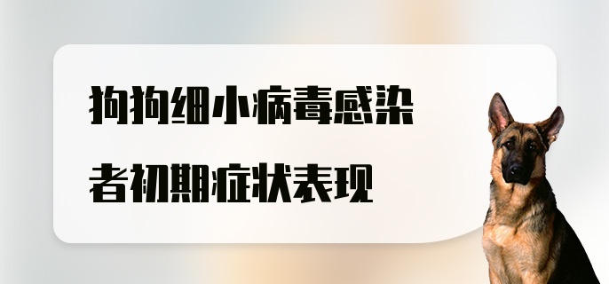 狗狗细小病毒感染者初期症状表现