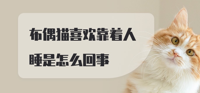 布偶猫喜欢靠着人睡是怎么回事