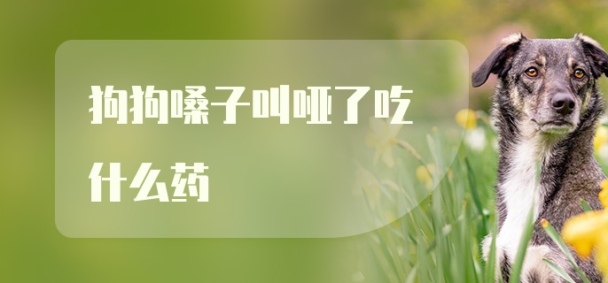 狗狗嗓子叫哑了吃什么药