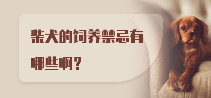 柴犬的饲养禁忌有哪些啊？