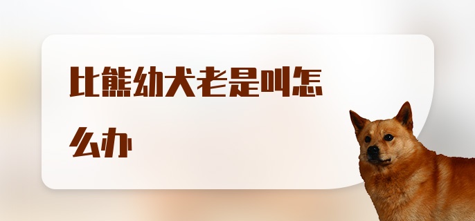 比熊幼犬老是叫怎么办