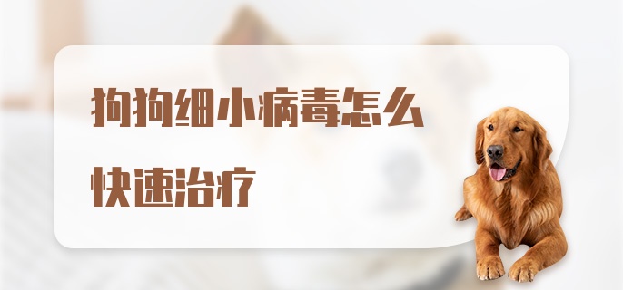 狗狗细小病毒怎么快速治疗