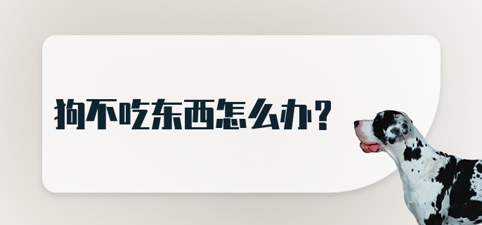 狗不吃东西怎么办?