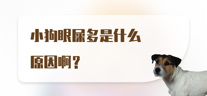 小狗眼屎多是什么原因啊？