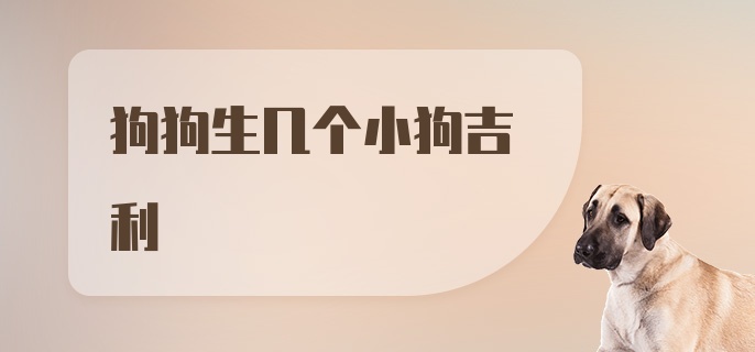 狗狗生几个小狗吉利