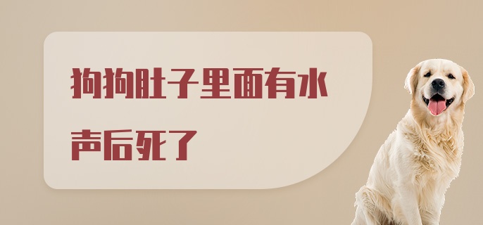 狗狗肚子里面有水声后死了