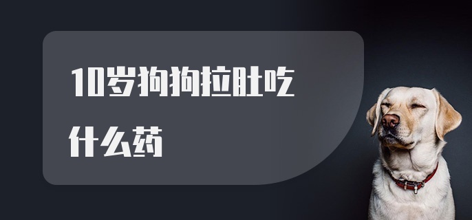 10岁狗狗拉肚吃什么药