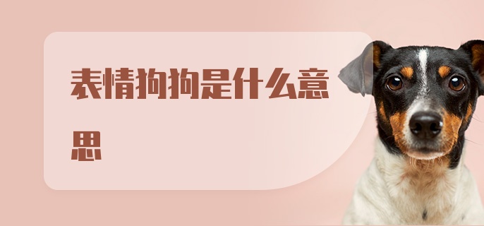 表情狗狗是什么意思