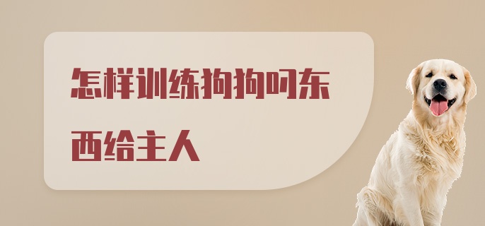 怎样训练狗狗叼东西给主人