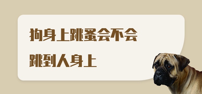 狗身上跳蚤会不会跳到人身上