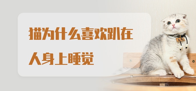 猫为什么喜欢趴在人身上睡觉