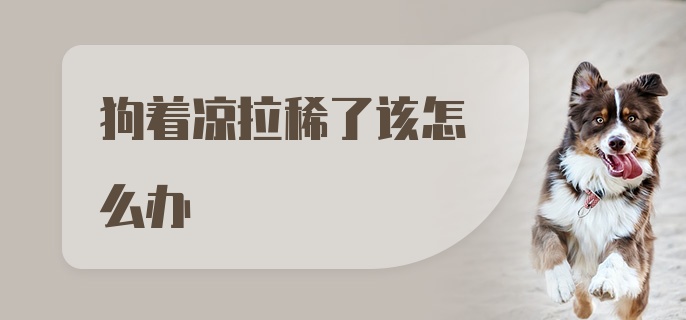 狗着凉拉稀了该怎么办