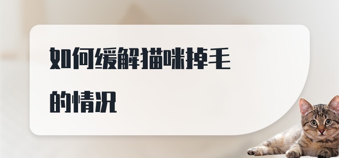 如何缓解猫咪掉毛的情况