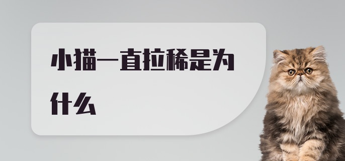 小猫一直拉稀是为什么