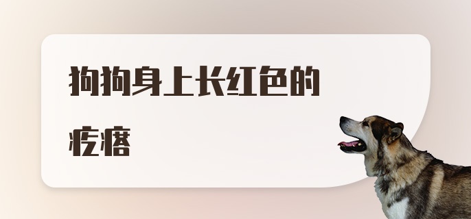 狗狗身上长红色的疙瘩