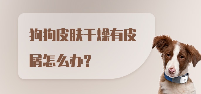 狗狗皮肤干燥有皮屑怎么办?