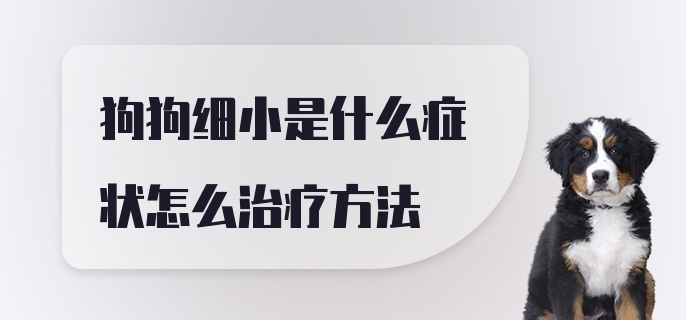 狗狗细小是什么症状怎么治疗方法