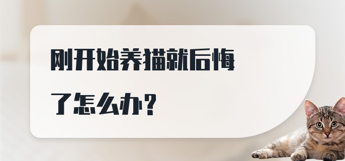 刚开始养猫就后悔了怎么办？