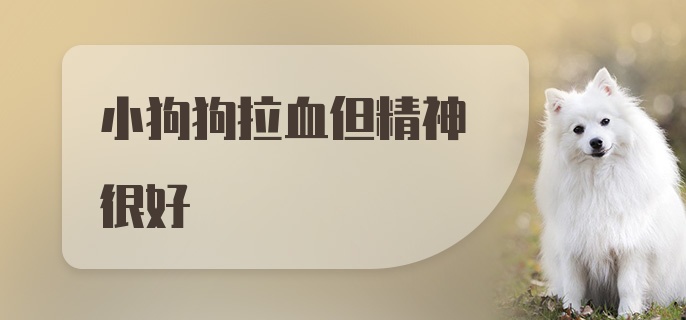 小狗狗拉血但精神很好